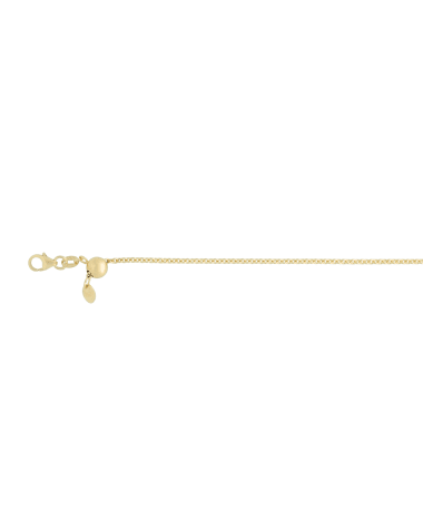 9CT Y/G EXT TRACE 2.00mm/47cm